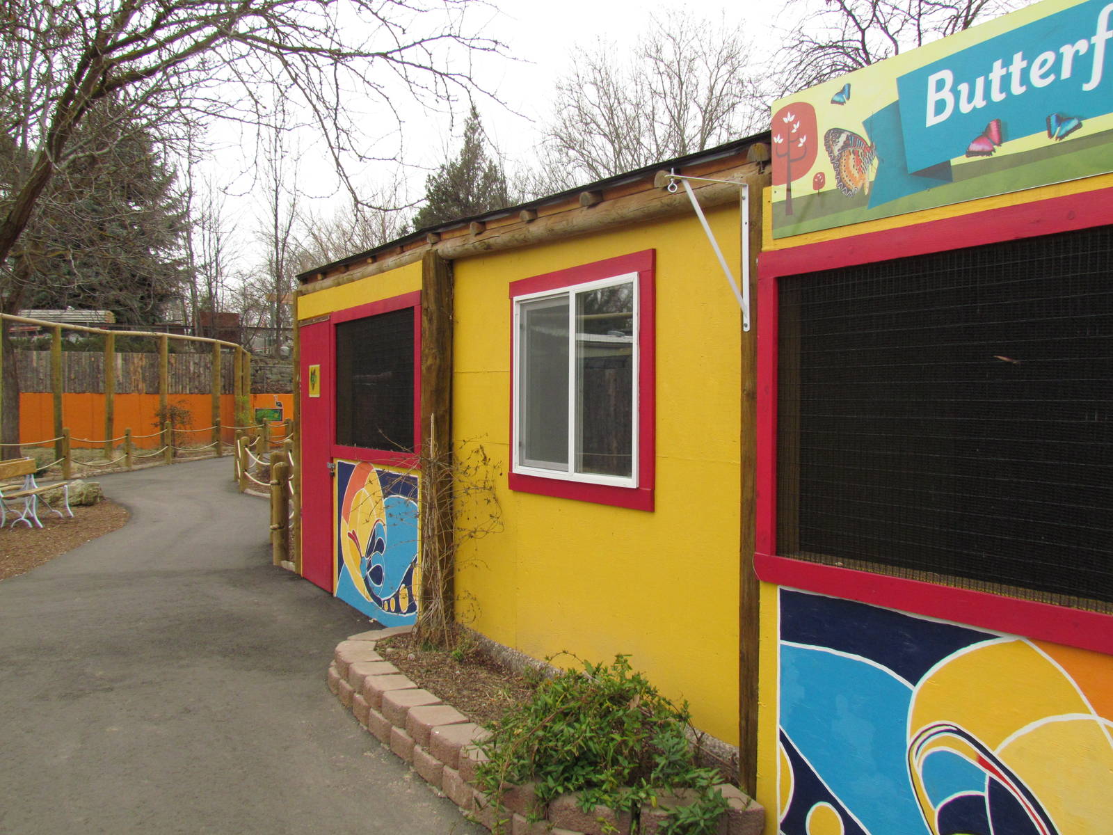 Animals of the Pampas - Butterflies in Bloom