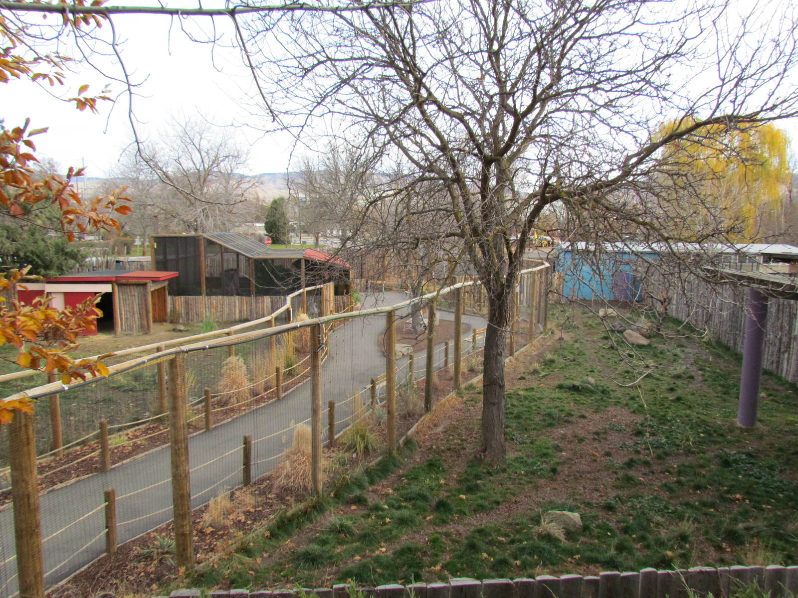 Animals of the Pampas - Overview