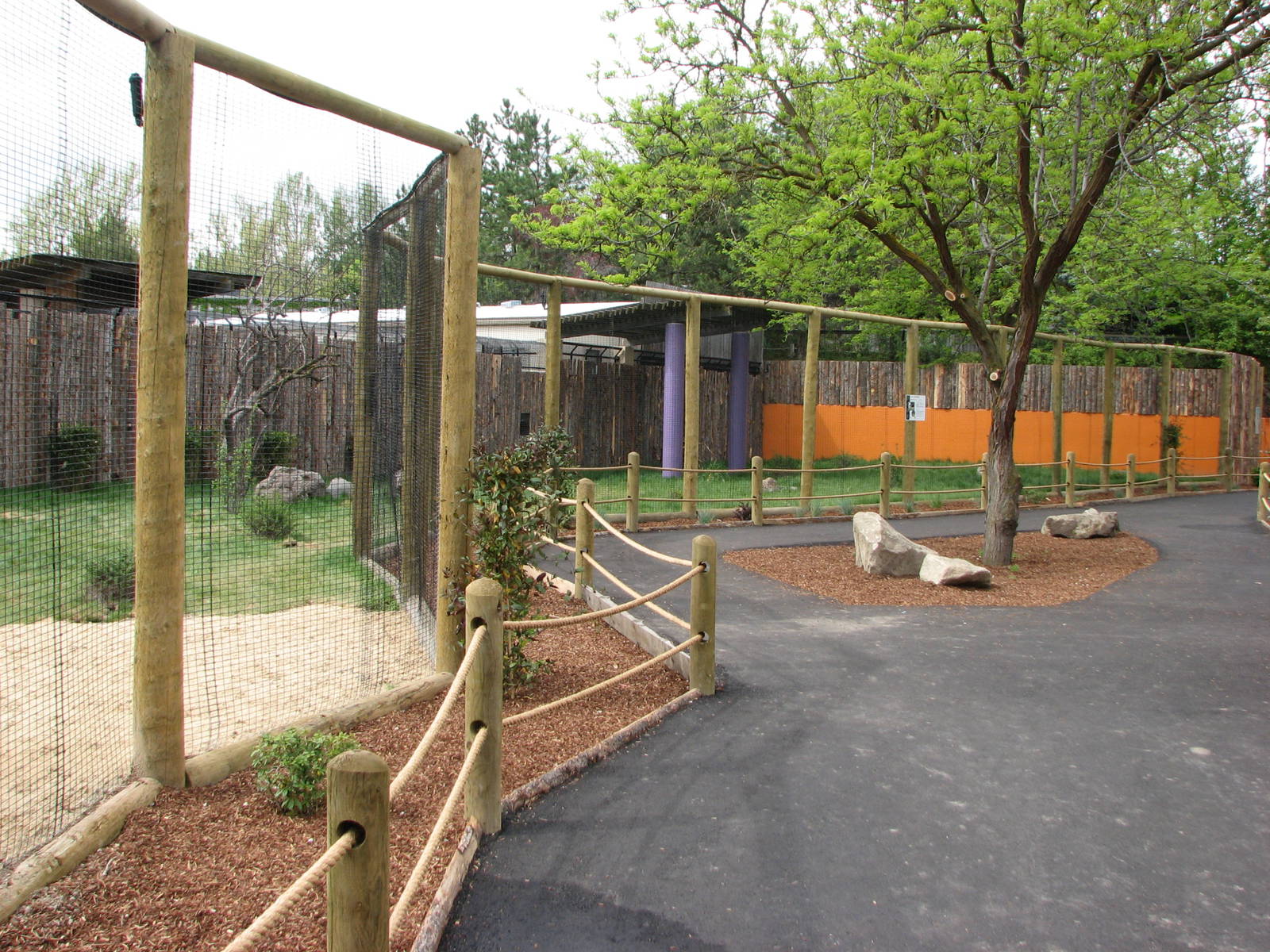 Animals of the Pampas