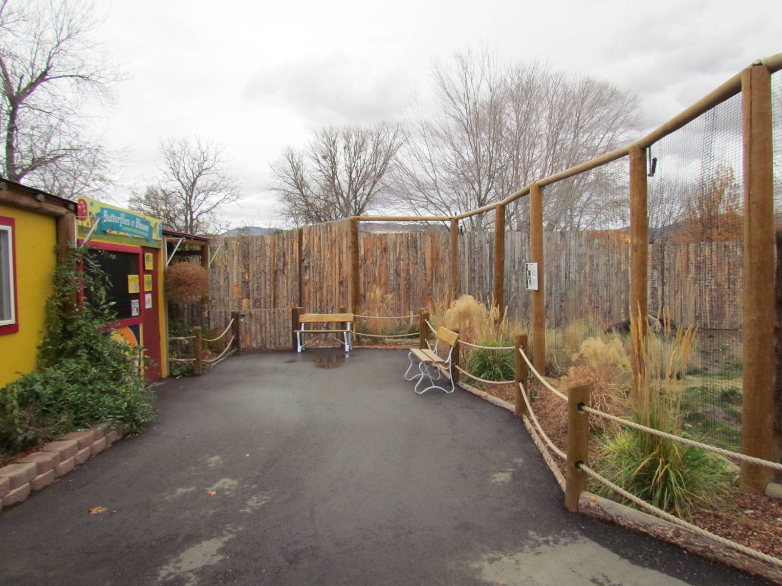 Animals of the Pampas