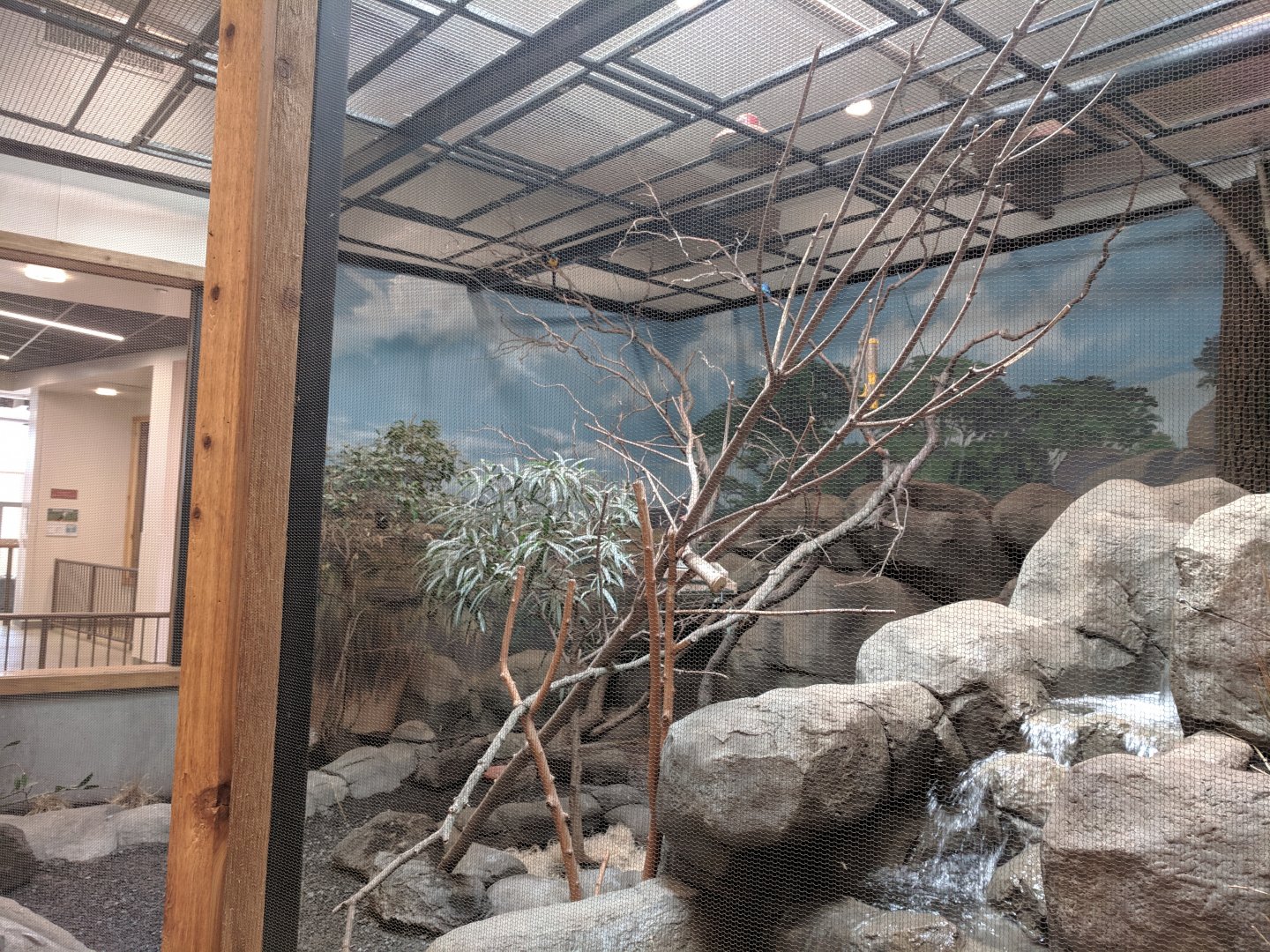 Animals of the Savannah Building