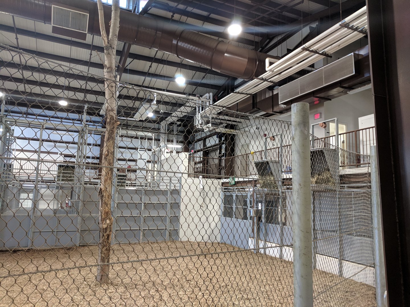 Animals of the Savannah Building