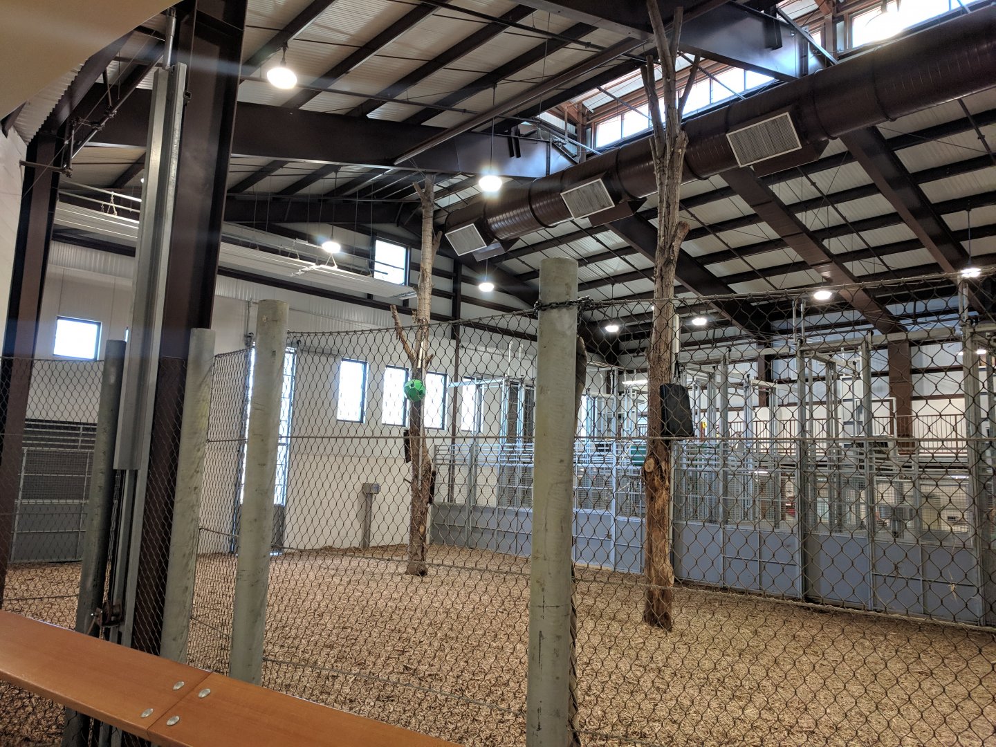 Animals of the Savannah Building