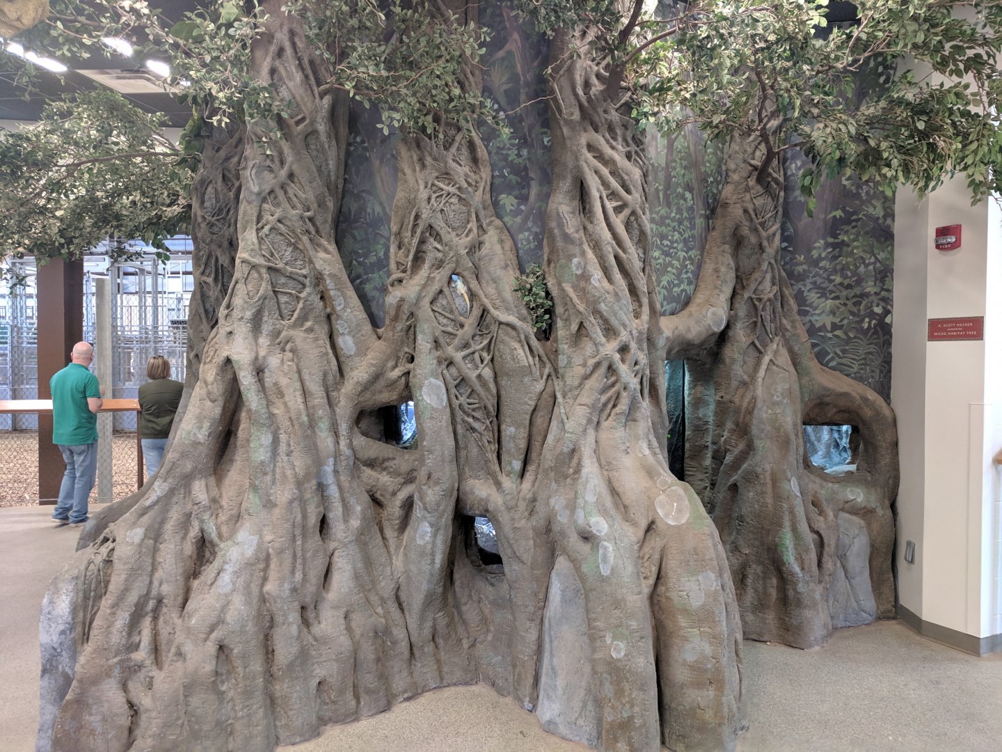 Animals of the Savannah Building