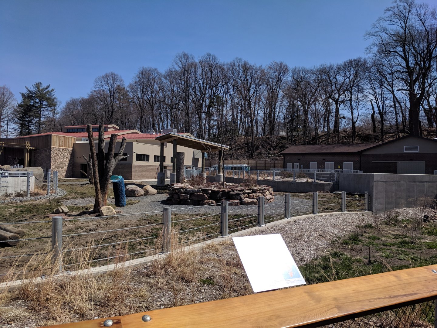 Animals of the Savannah