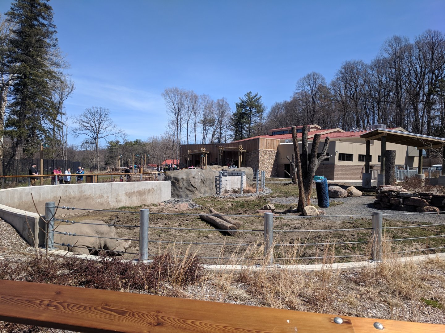 Animals of the Savannah