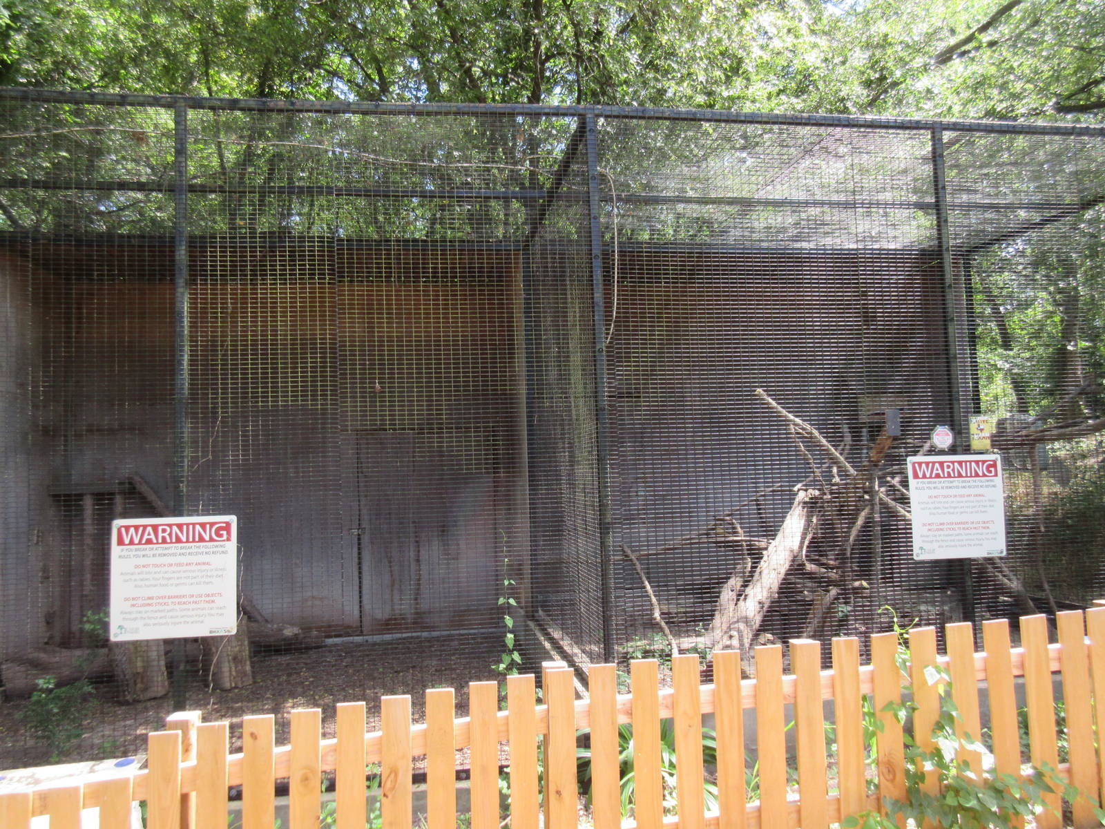 Animals of the World - Gray Fox Exhibit