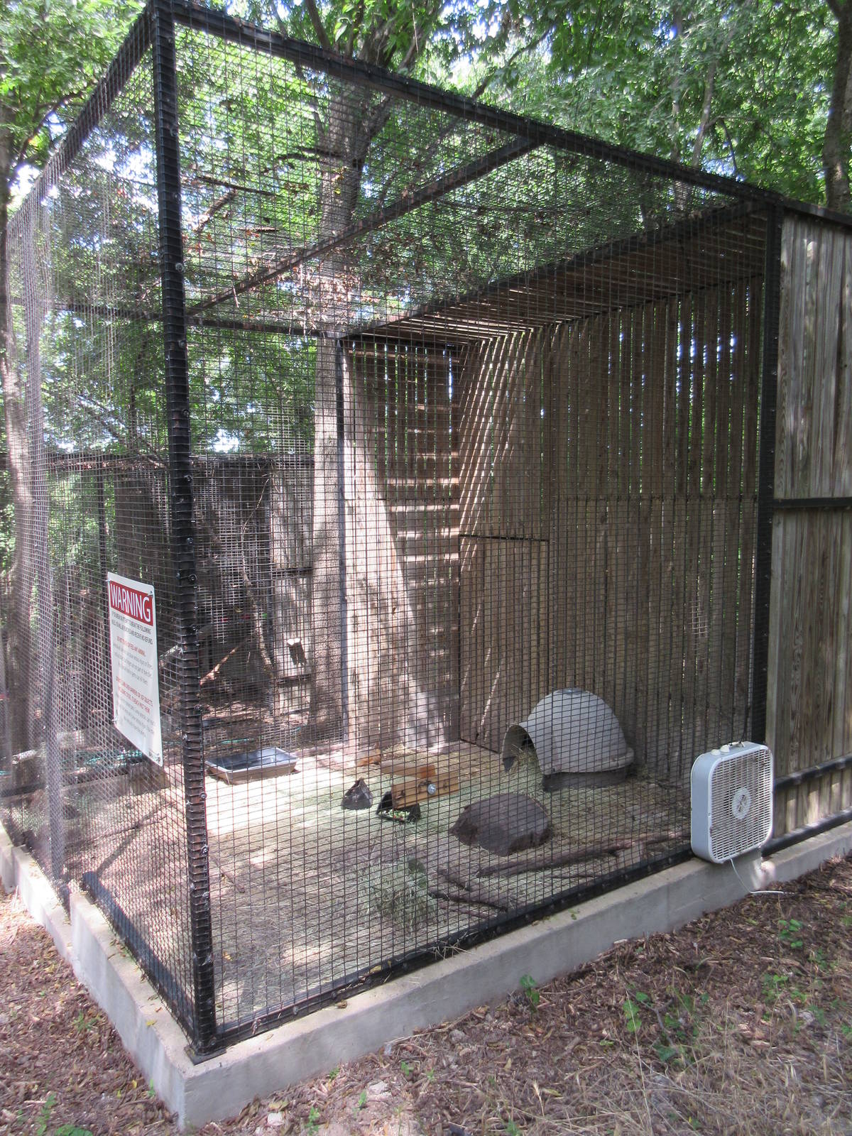 Animals of the World - Patagonian Cavy Exhibit