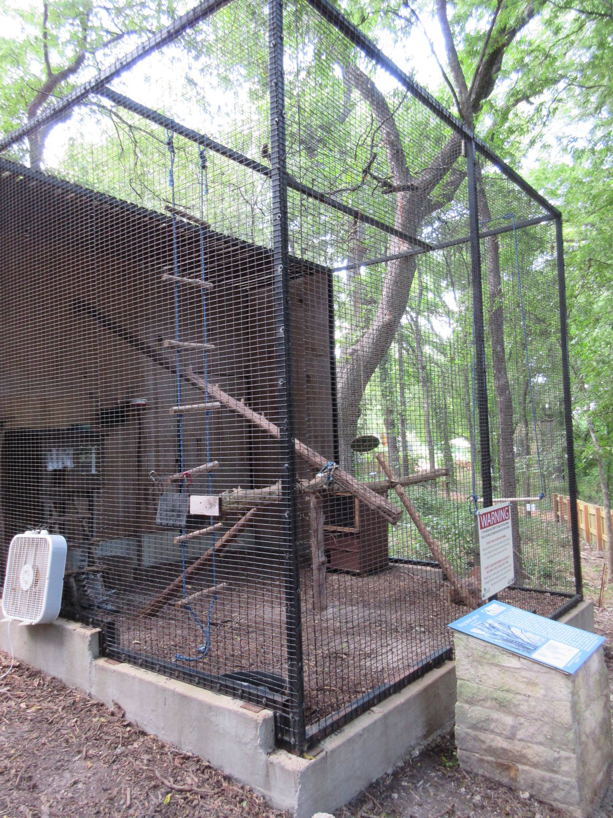 Animals of the World - Ring-Tailed Lemur Exhibit