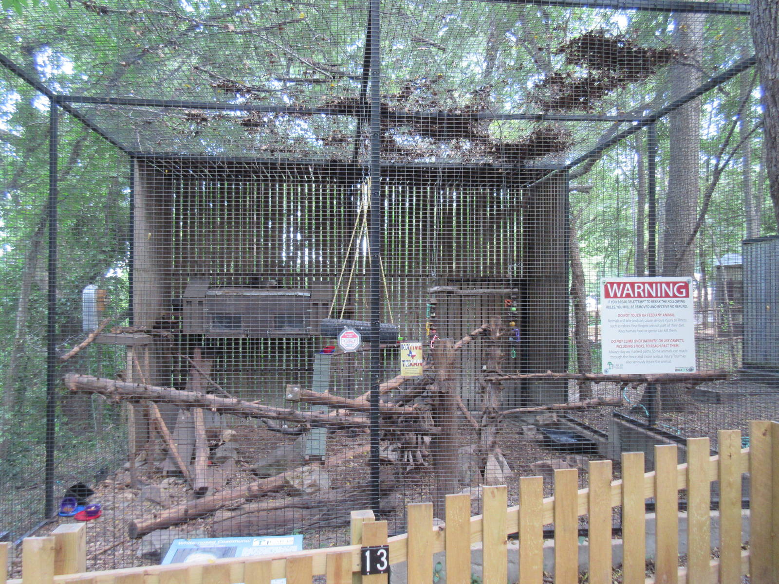 Animals of the World - White-Nosed Coati Exhibit