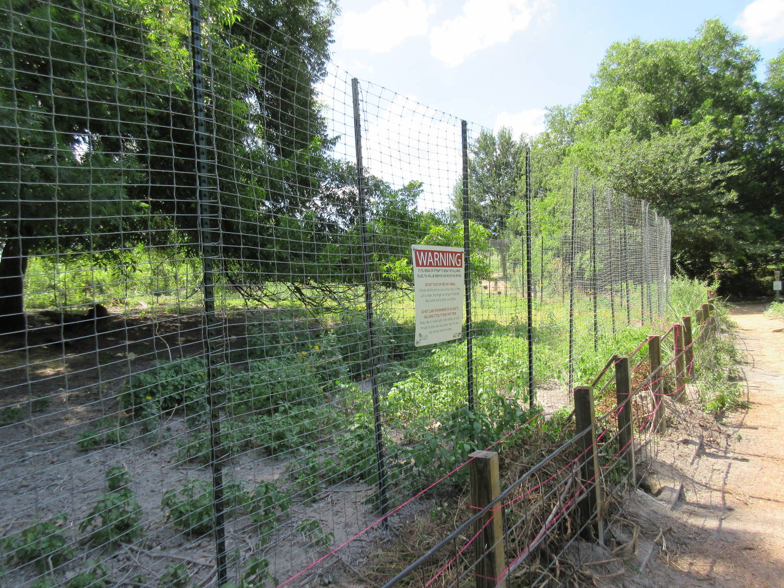 Animals of the World - White-Tailed Deer Exhibit