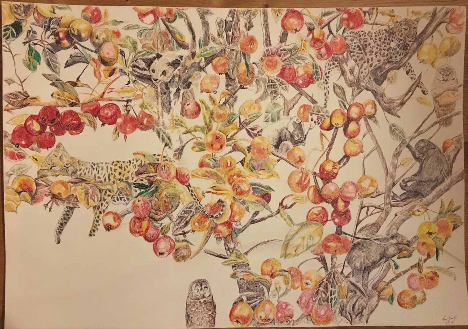 Animals resting on an apple tree in autumn