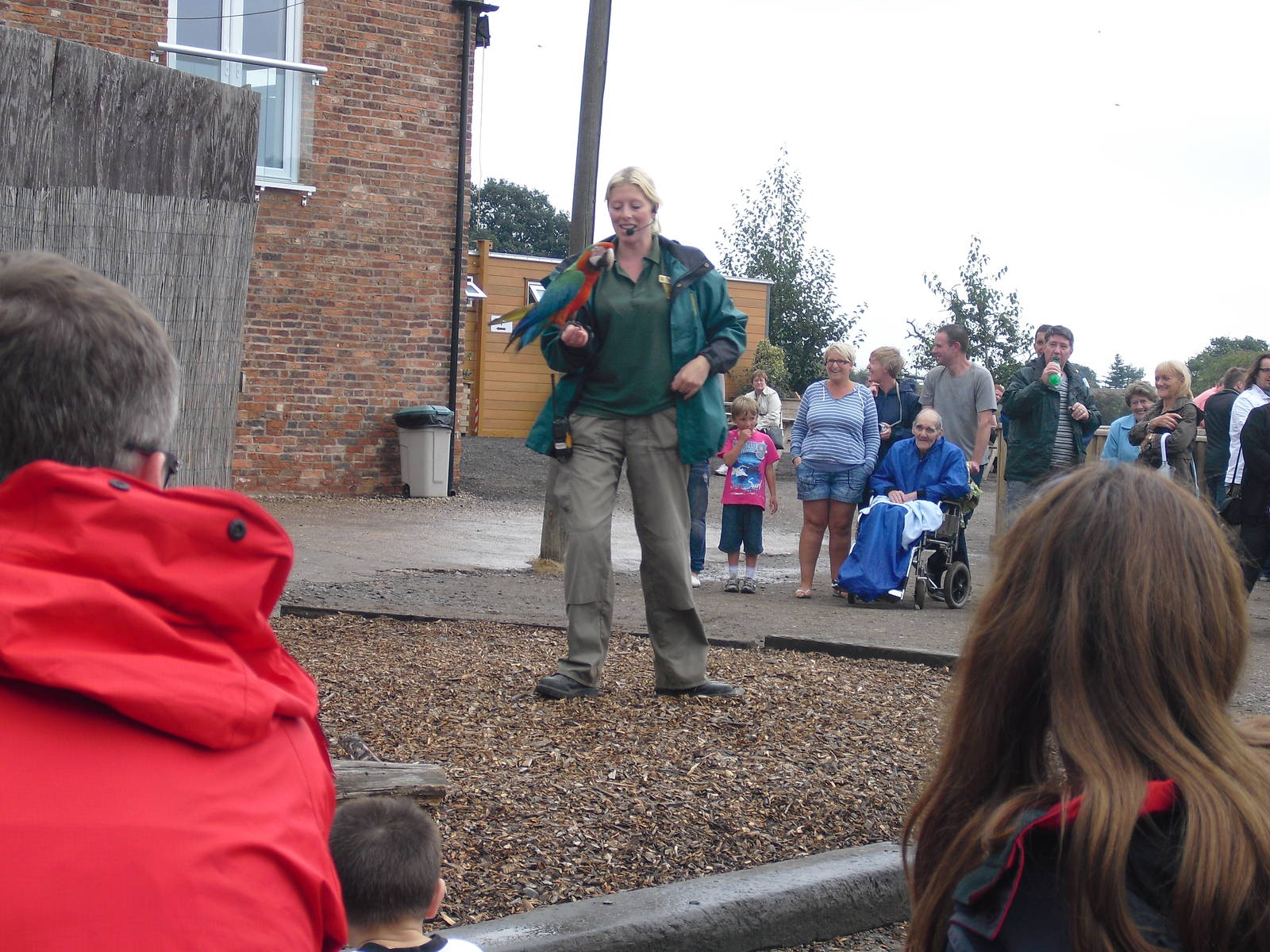 Animals Up Close Show - 06/09/2011