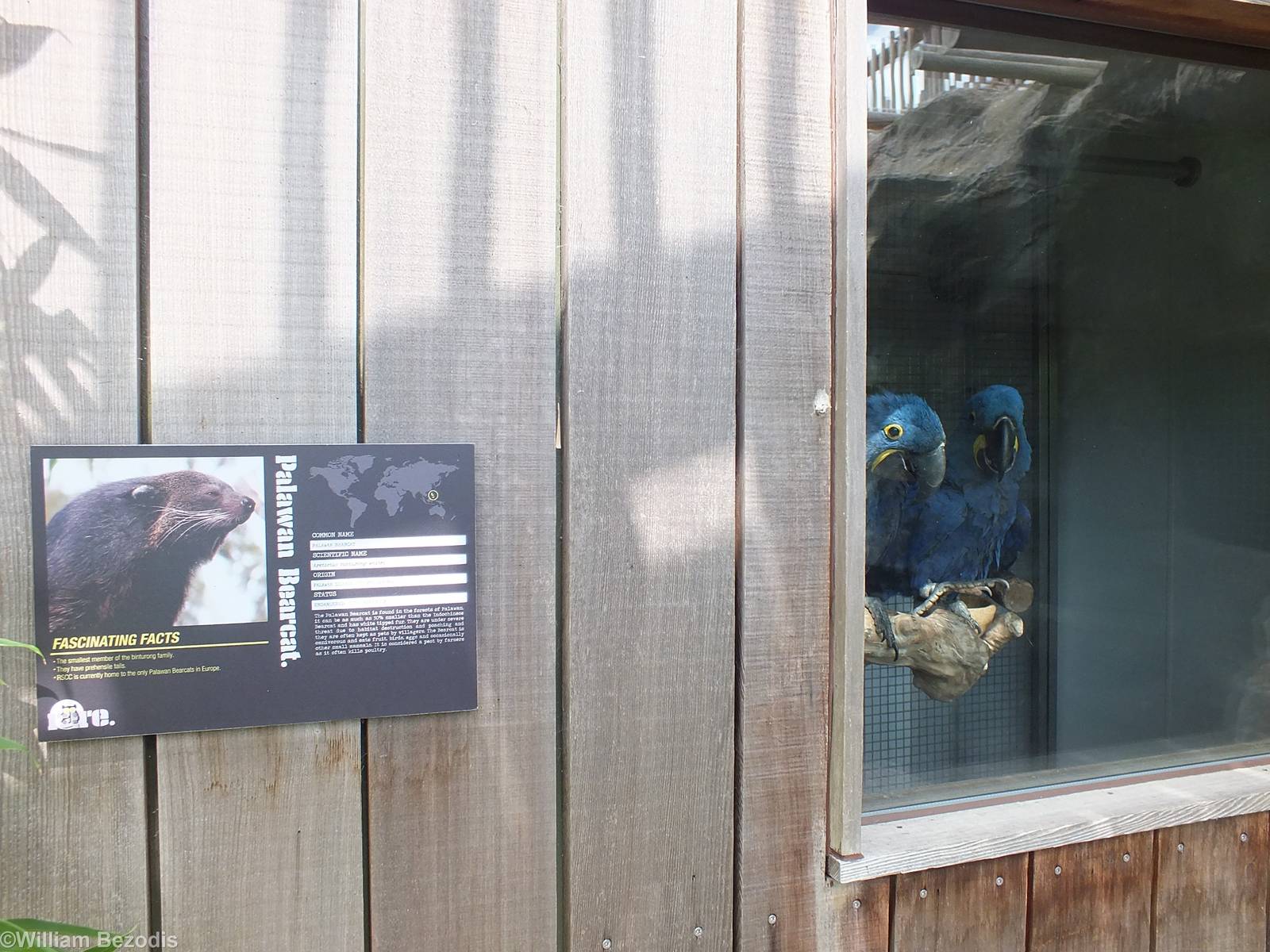 Animals which don't match the sign