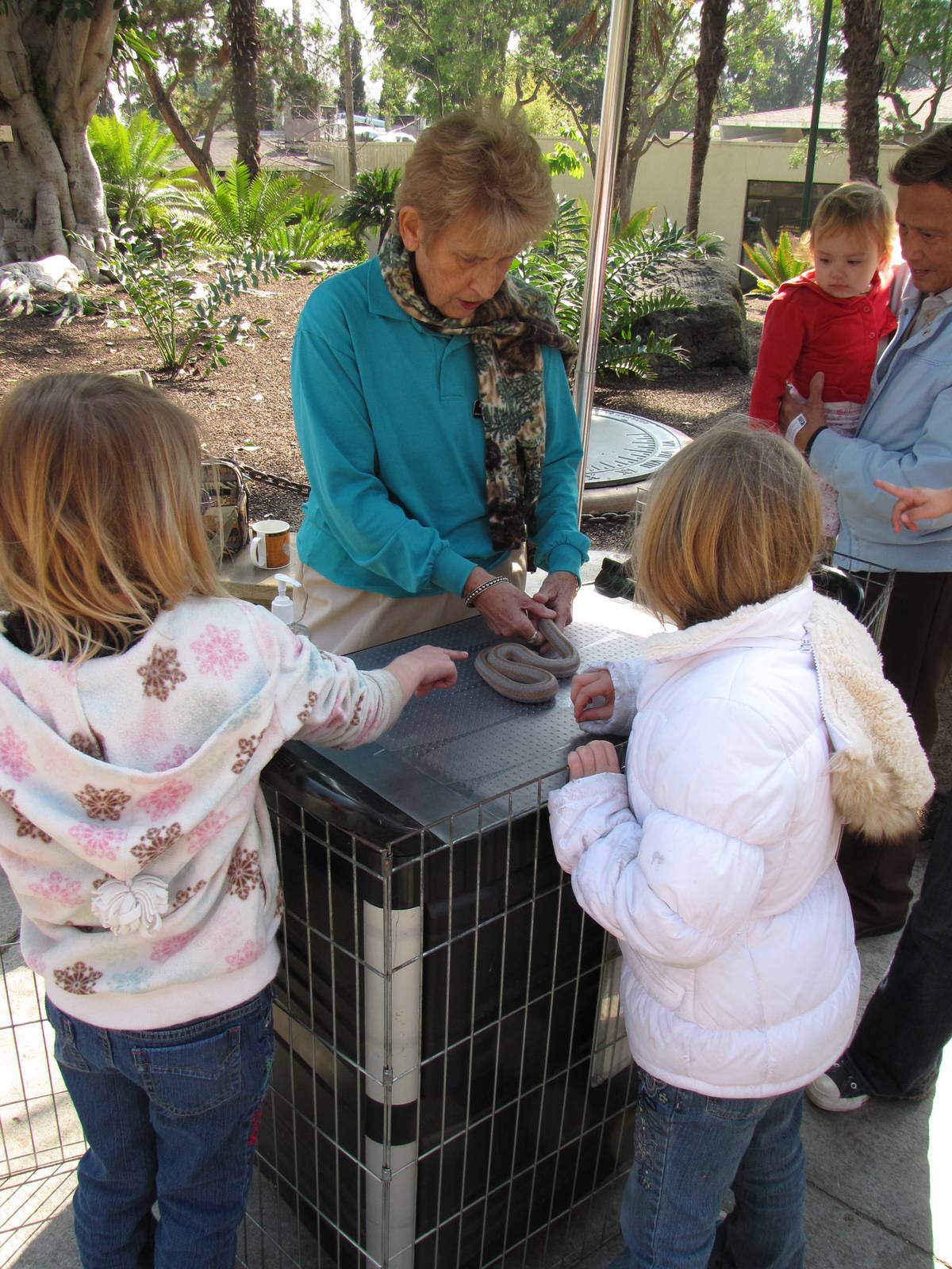 Animals & You Docent