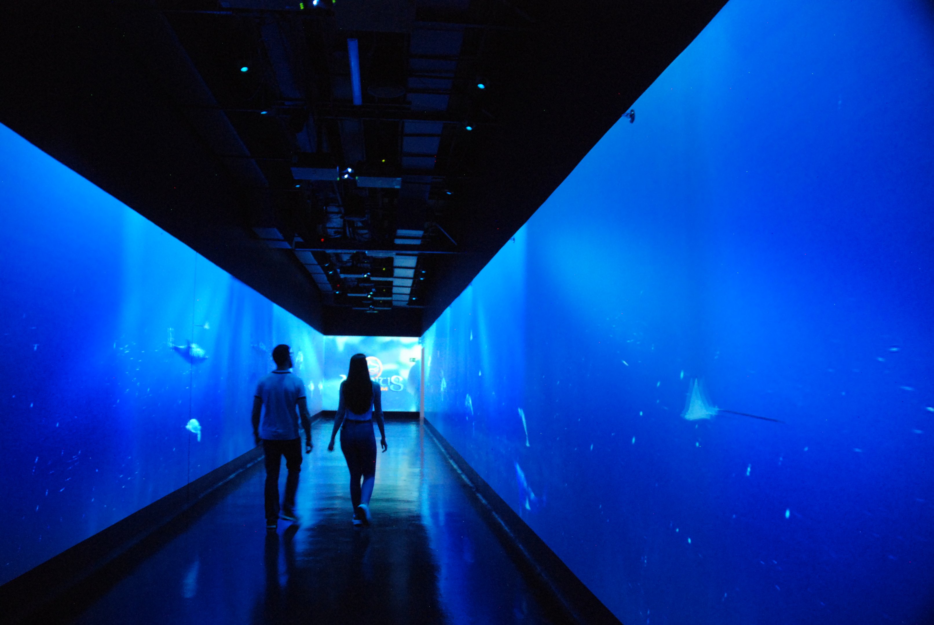 Animated Displays on Exit Corridor at Atlantis Aquarium Madrid, 20th May 2022