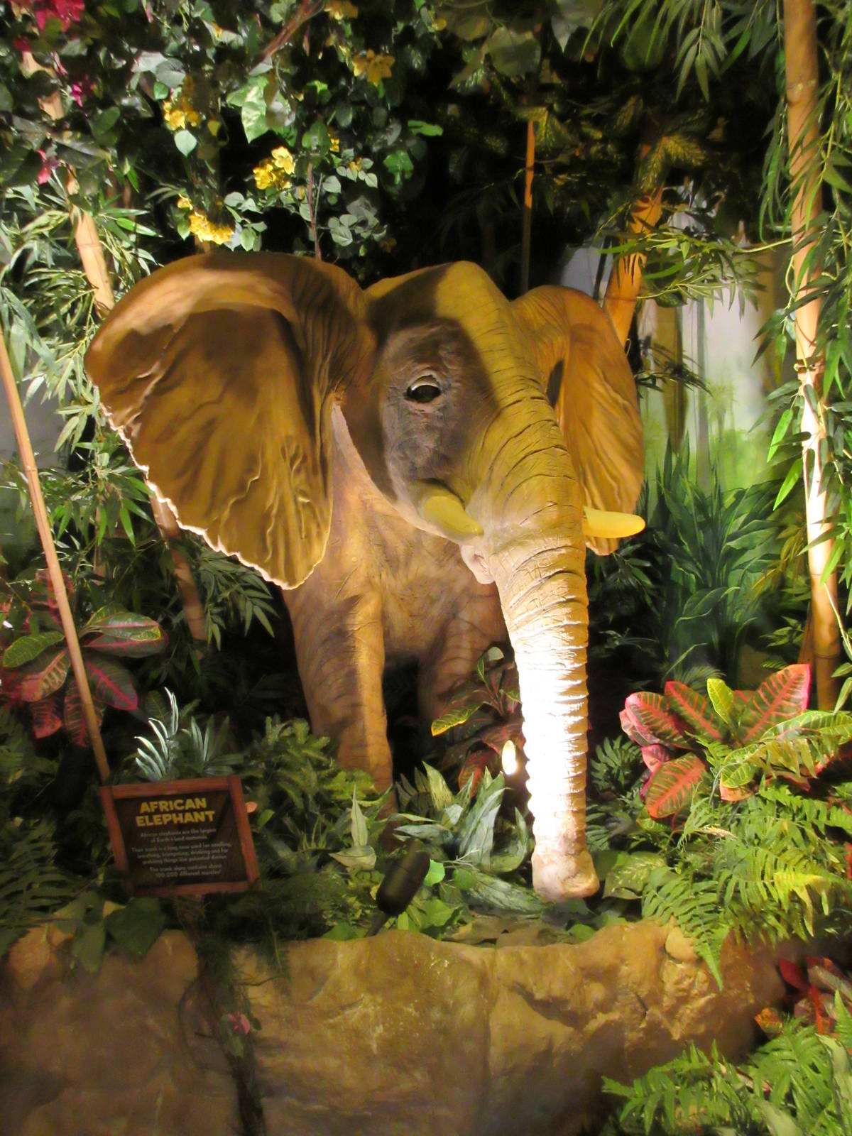 Animatronic African Elephant
