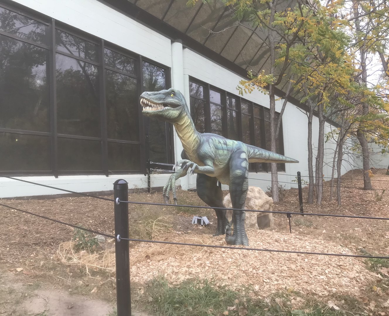 Animatronic Deinonychus