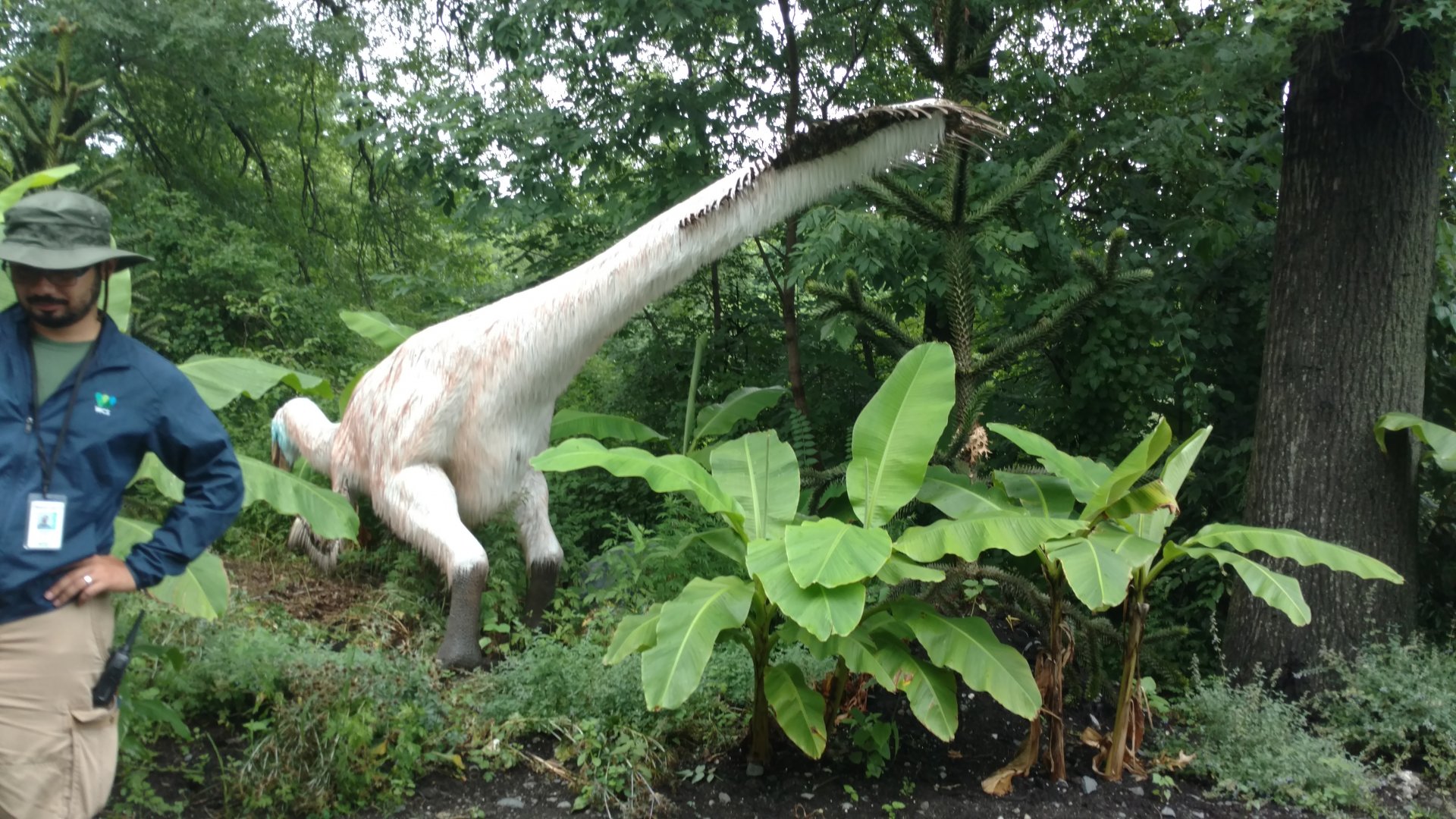 Animatronic Dinosaur, Bronx Zoo, July 2019