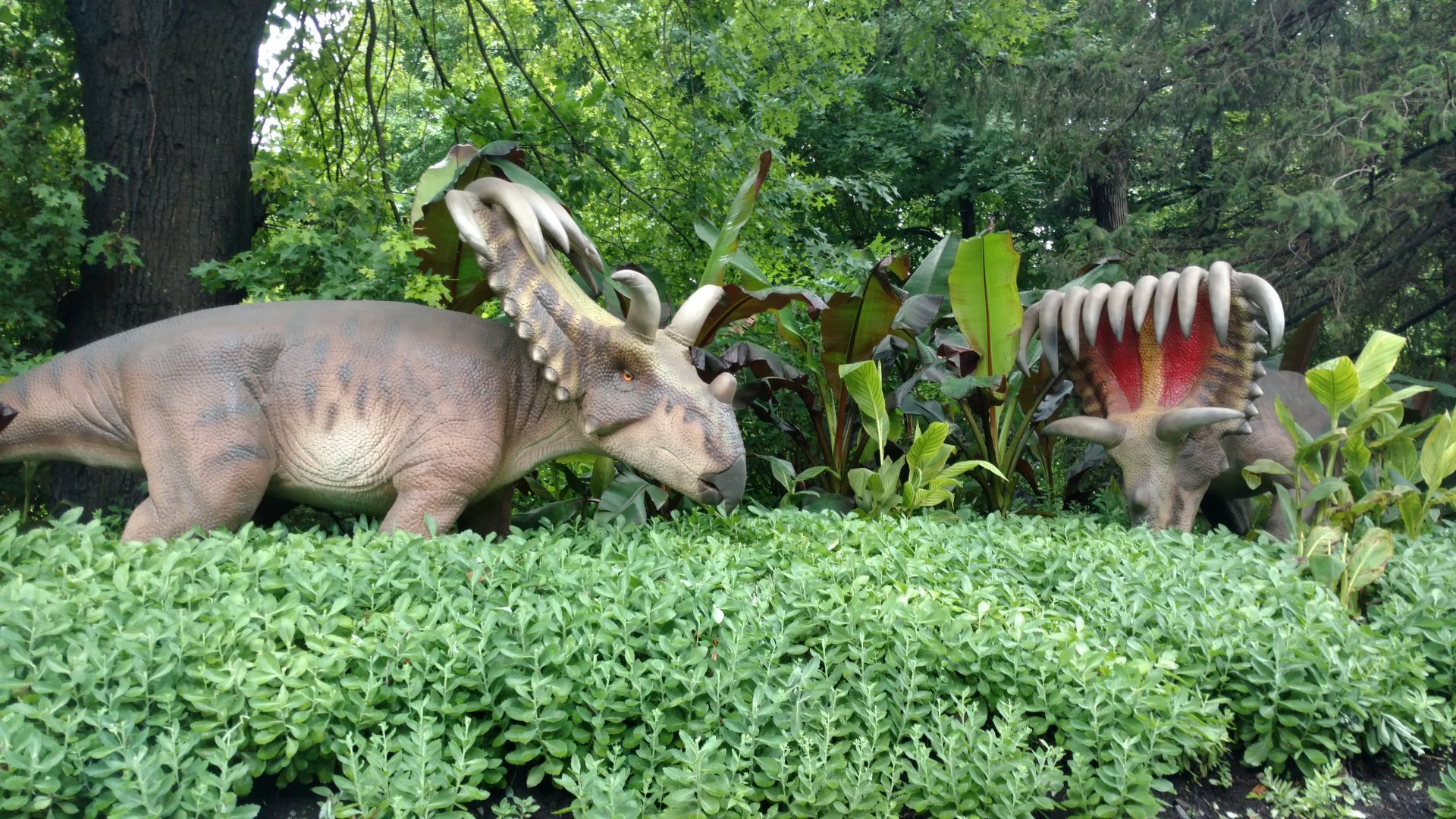 Animatronic Dinosaur, Bronx Zoo, July 2019