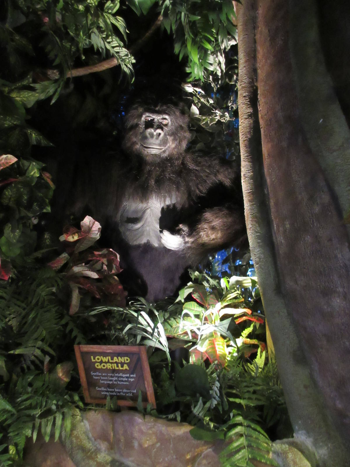 Animatronic Lowland Gorilla