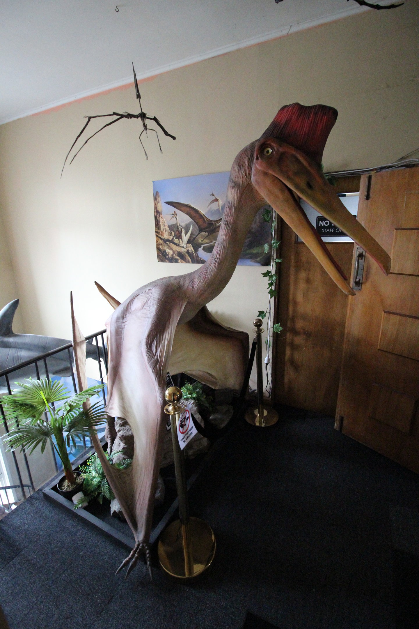 Animatronic of Quetzalcoatlus, The Dinosaur House (Raetihi)