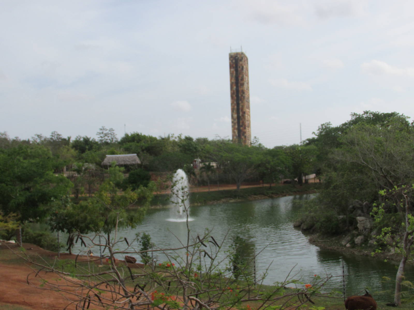 animaya general view