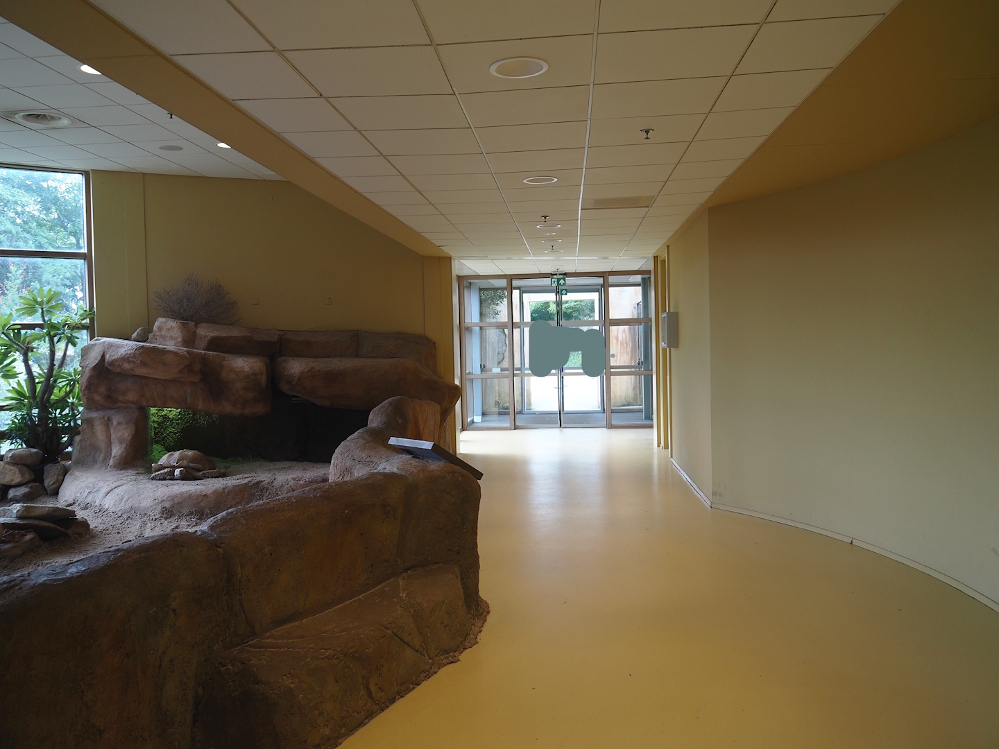 Animazia - Access hallway and African spurred tortoise exhibit, 2024-06-23