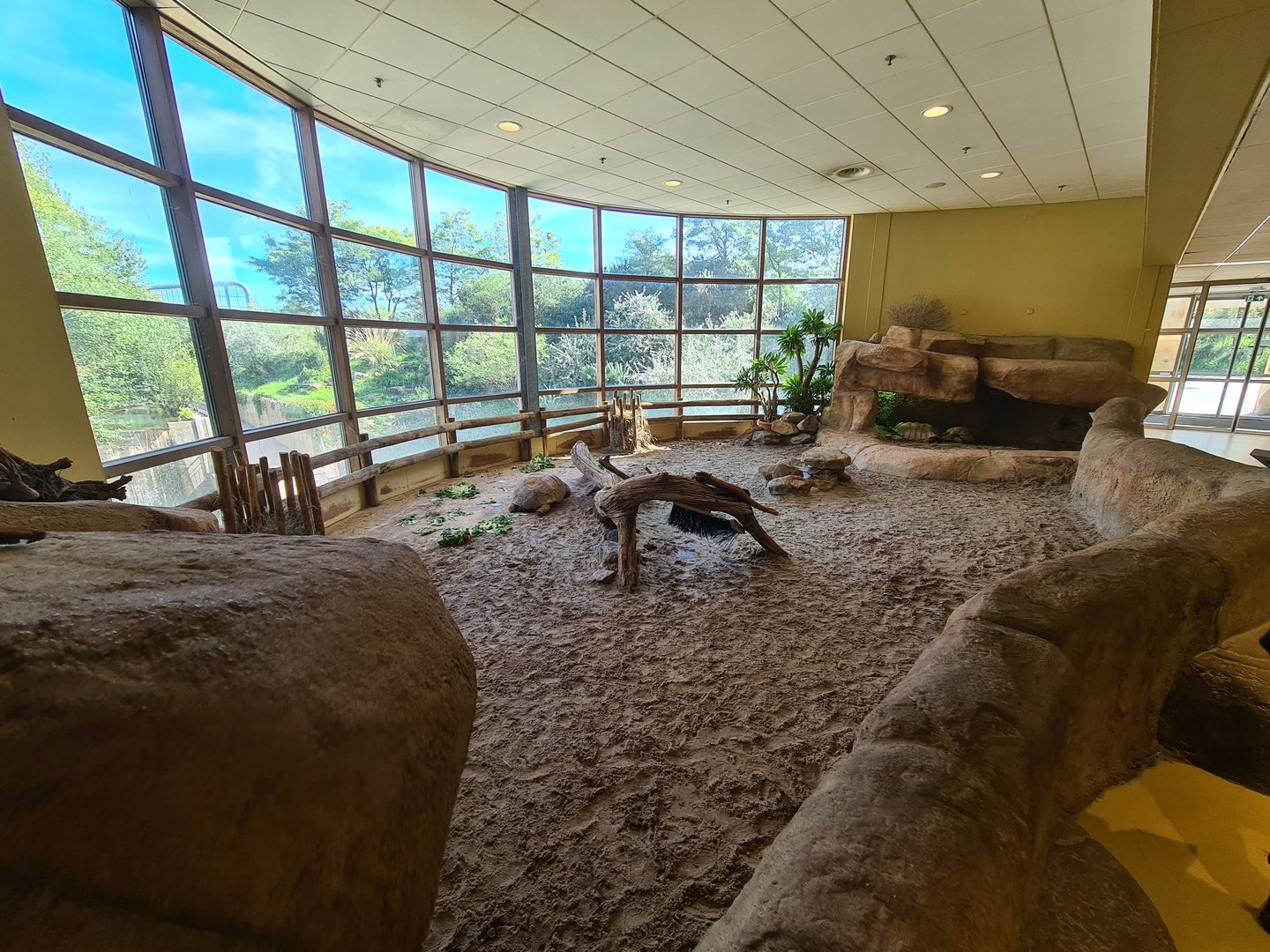 Animazia - African spurred tortoise enclosure