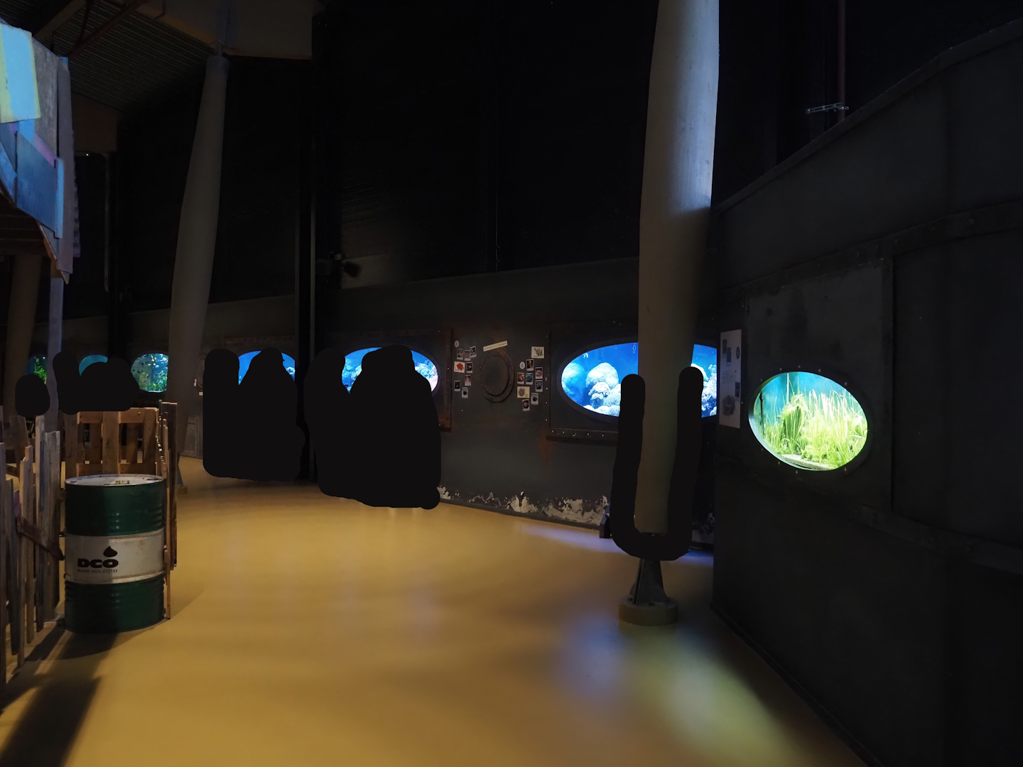 Animazia - Aquarium area, 2024-06-23