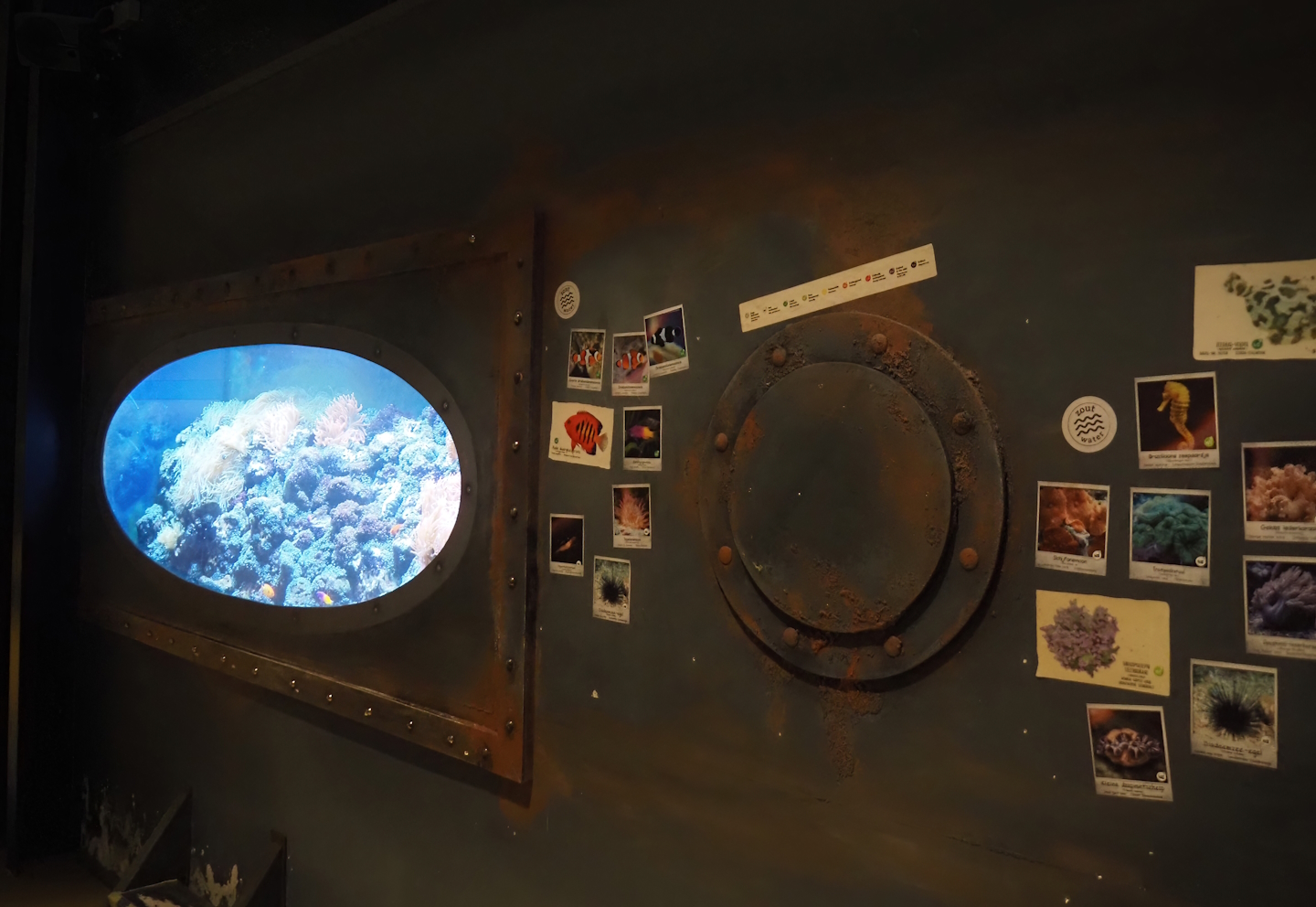 Animazia - Framing around tanks and signage in aquarium area, 2024-06-23