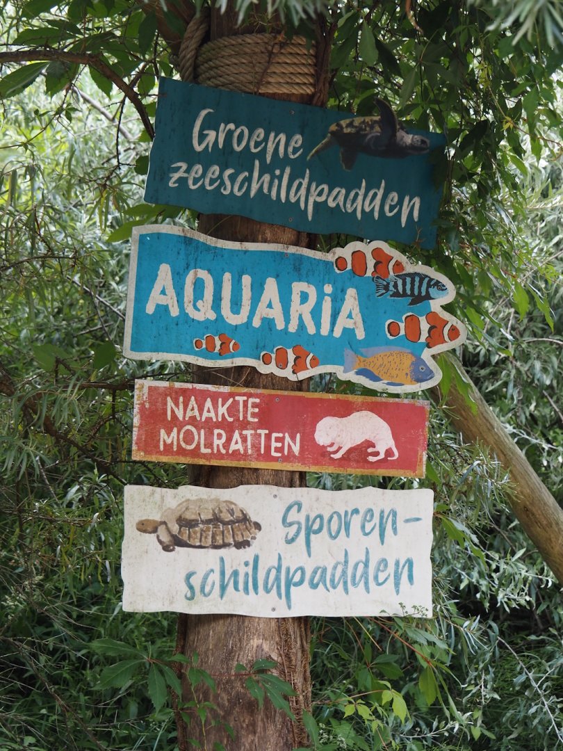 Animazia - Signage, 2024-06-23