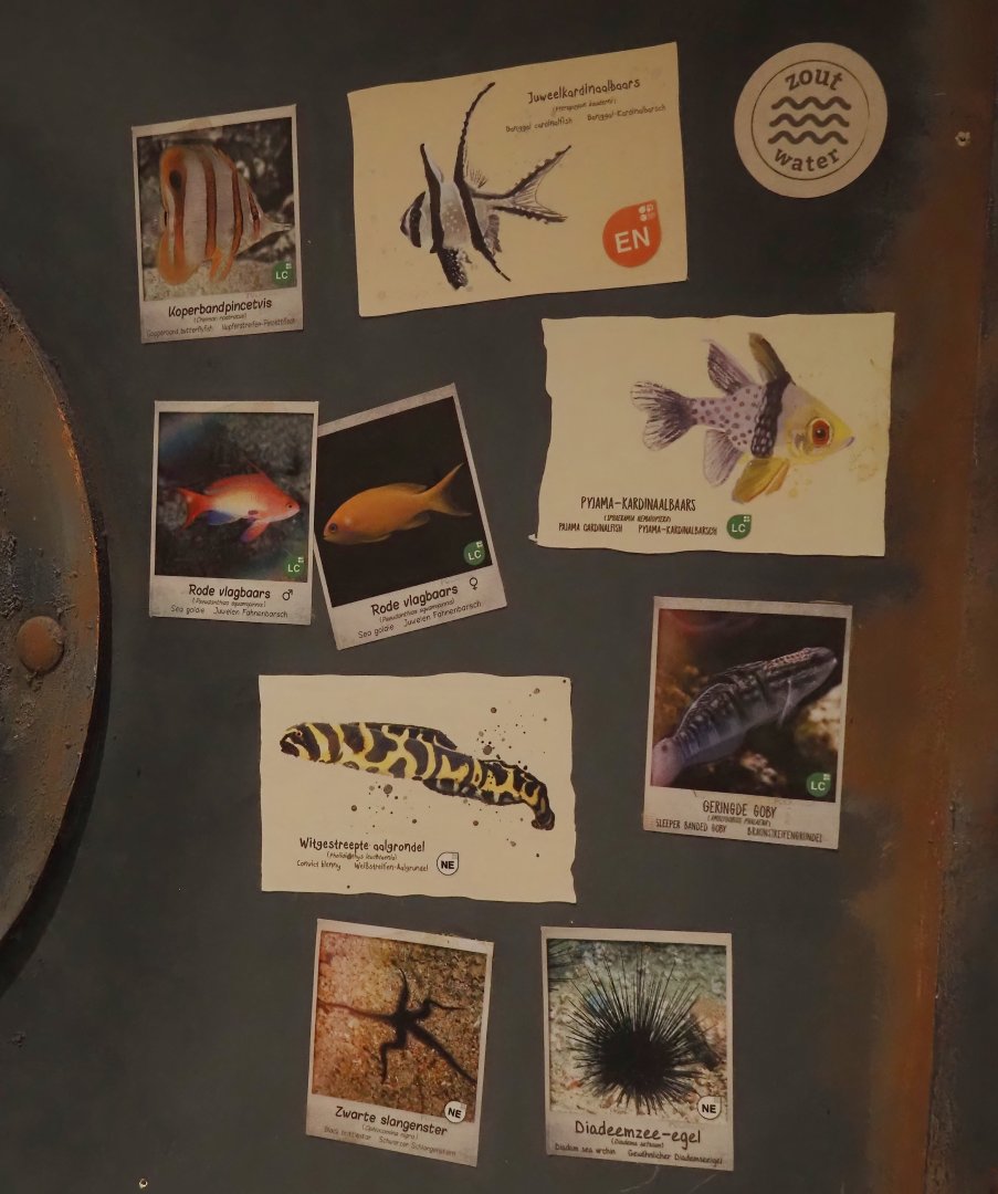 Animazia - Signage for one of the marine tanks, 2024-06-23