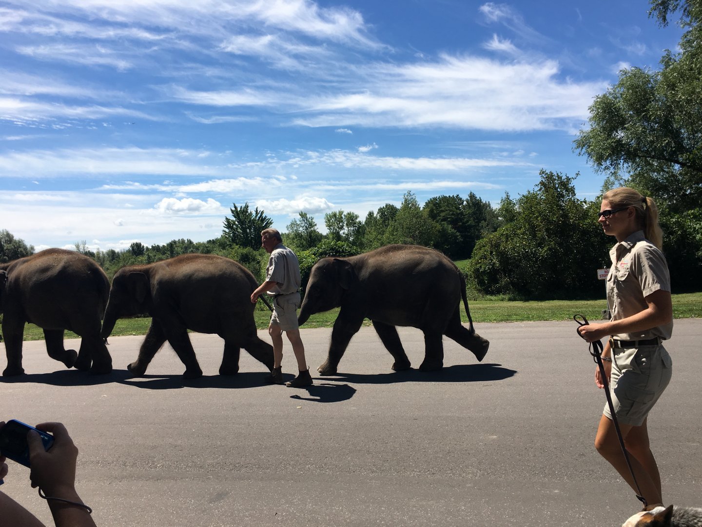 Anime and another individusal I can't remember