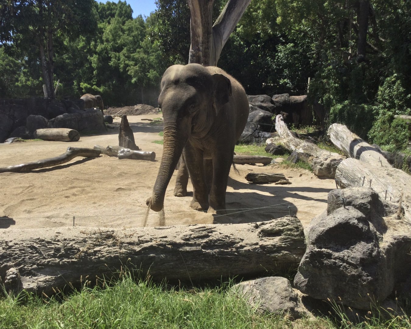 Anjalee Picking Up Sand