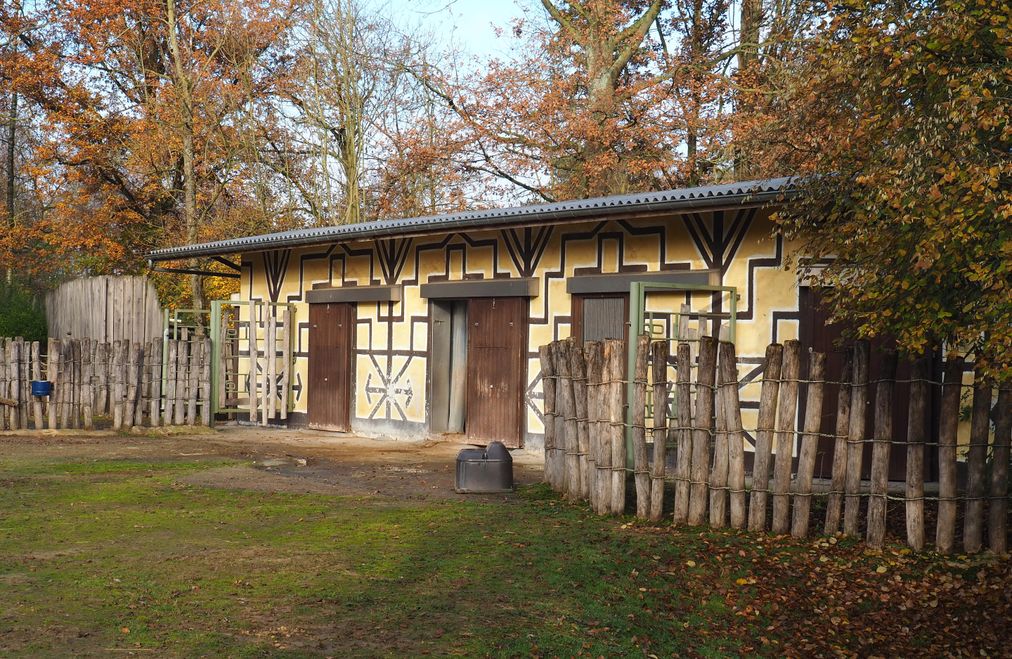 Ankole-Watusi cattle and Somali sheep barn, 2021-11-23
