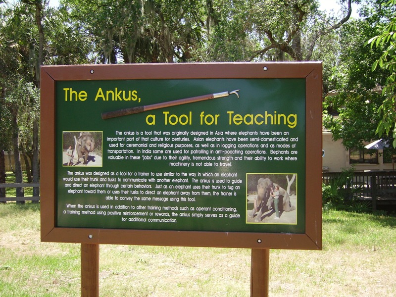 Ankus Signage