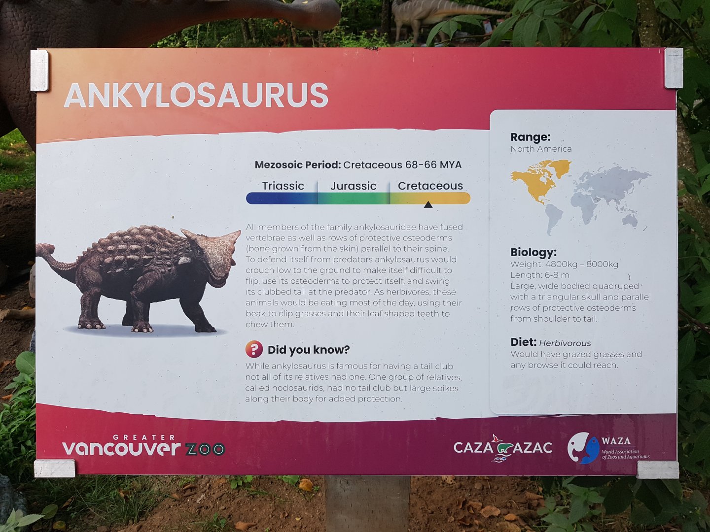 Ankylosaurus Sign