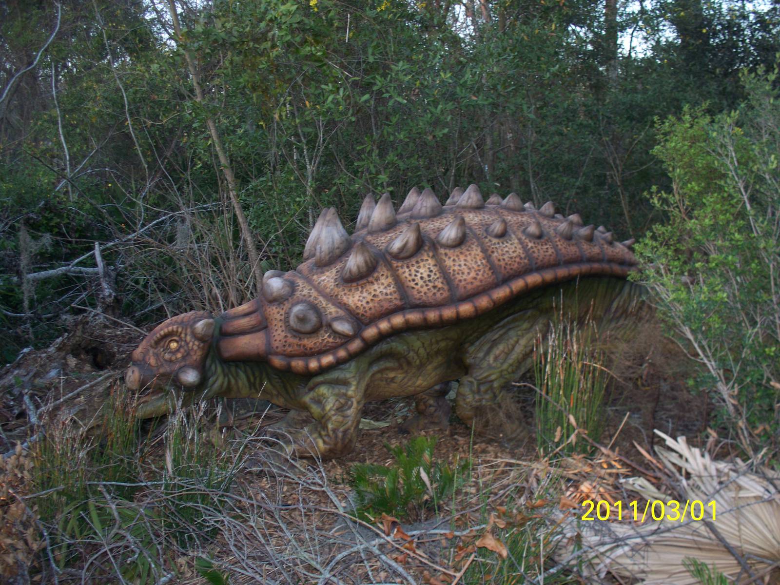 Ankylosaurus