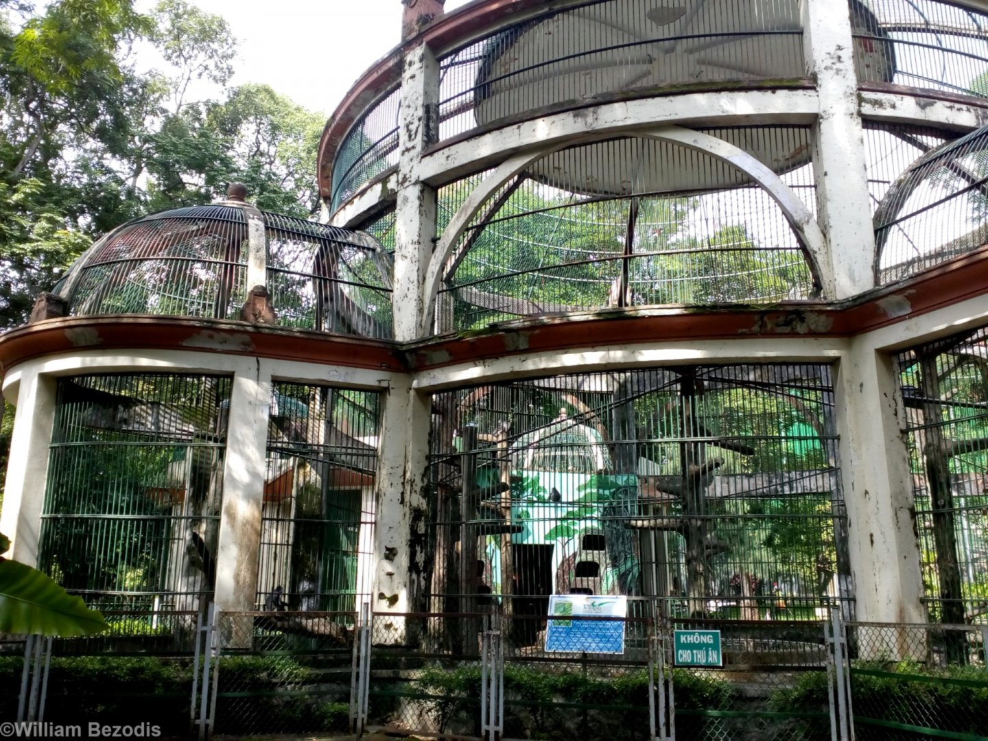 Annamese Silvered Langur Enclosure