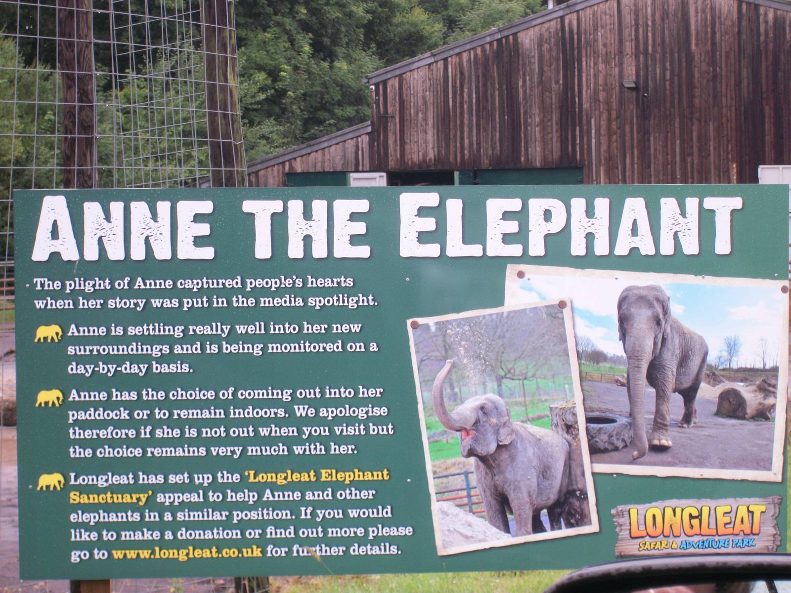 Anne the Elephant
