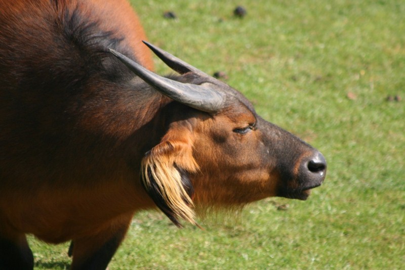 Annoack Mar - May 2010