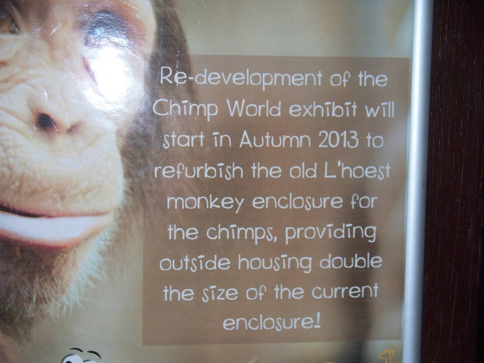 Announcement about the chimps.