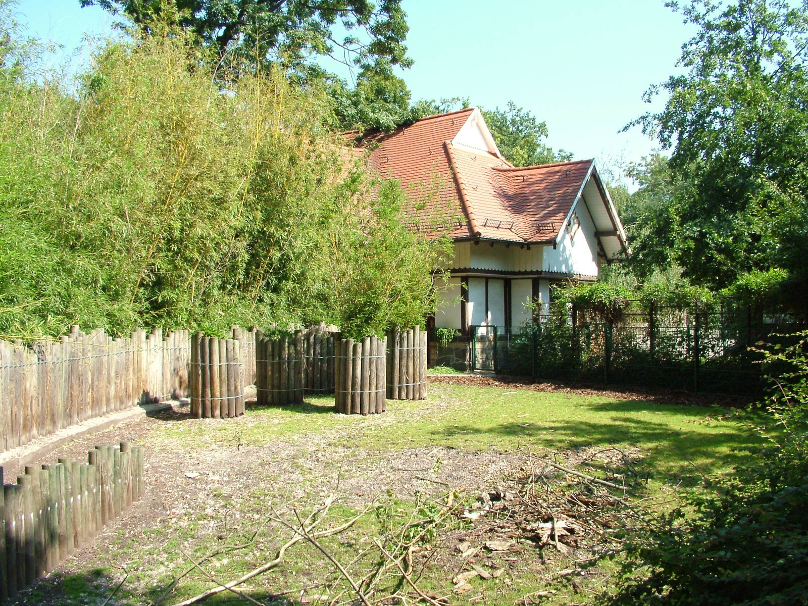 Anoa Exhibit at Leipzig, 02/09/11