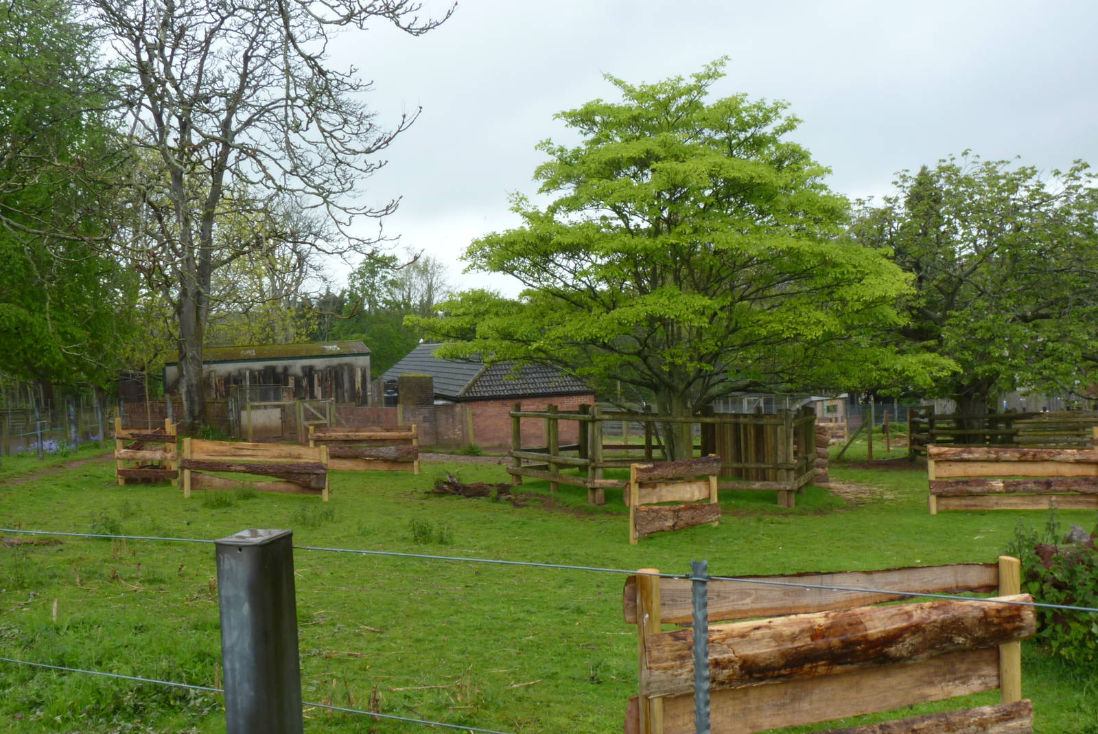 Anoa of the Year Show? May 2013