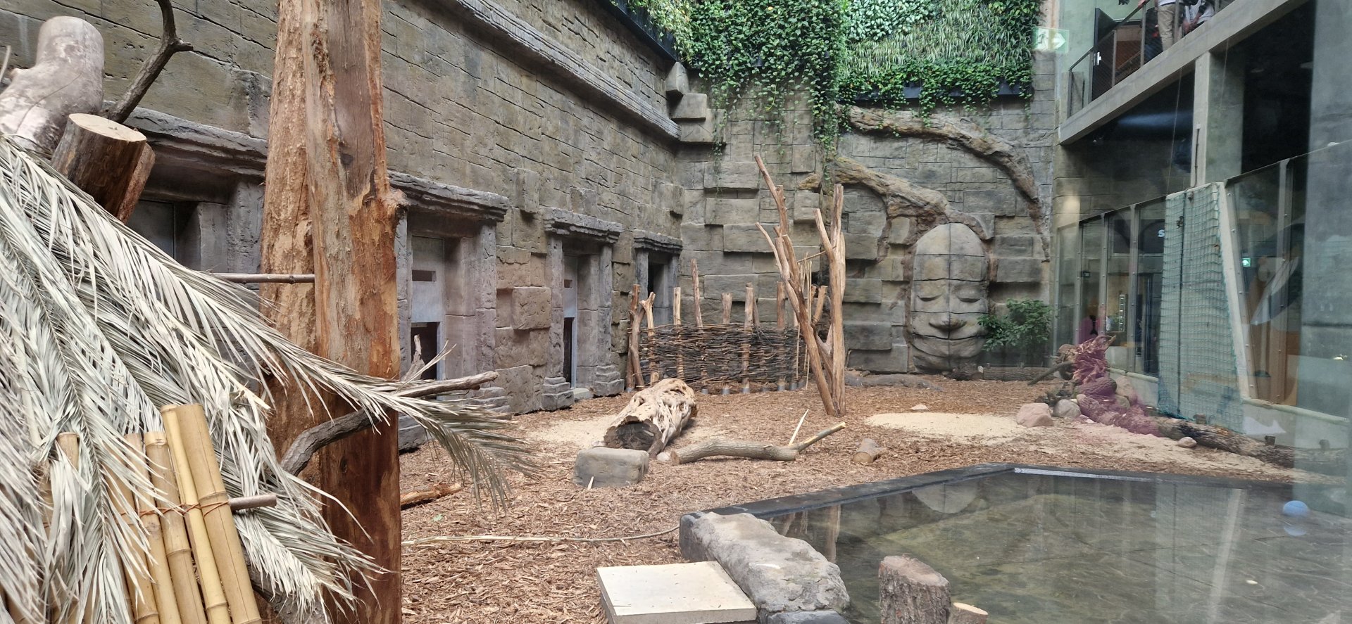 Anoa/Philippine porcupine/ Asian Small-clawed Otter, Red junglefowl exhibit