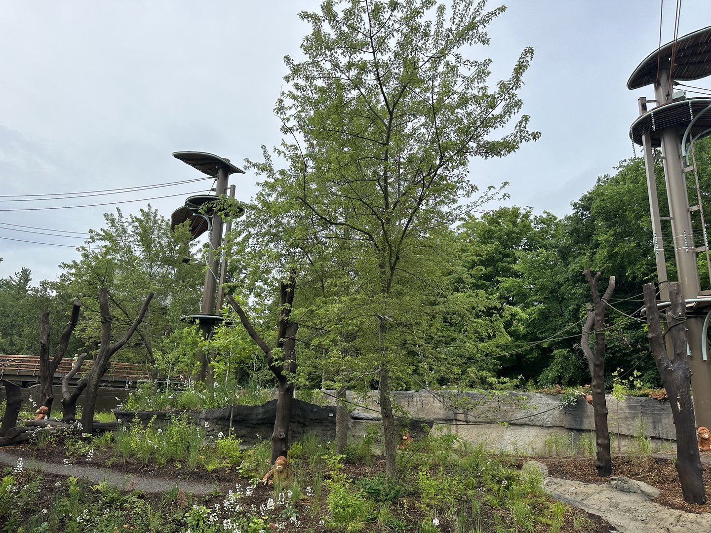 Another angle of the exhibit with no glass viewing