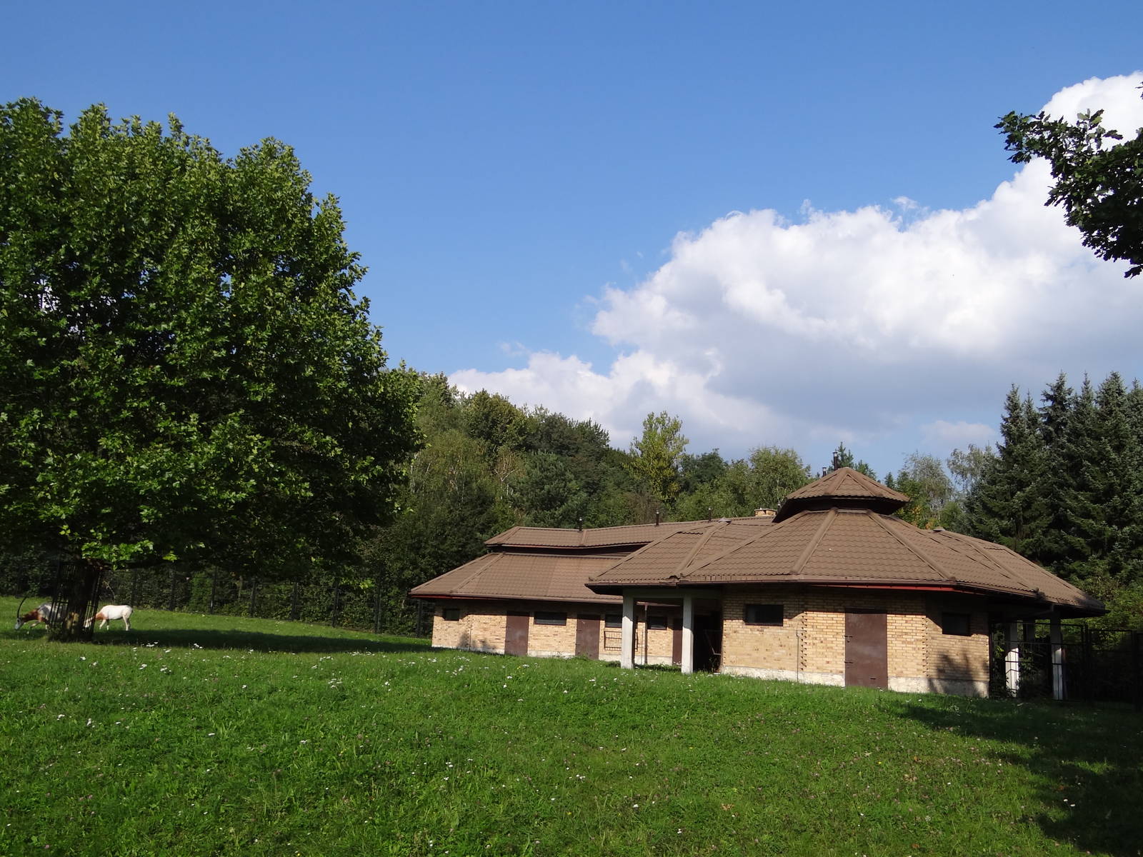 Another antelope house