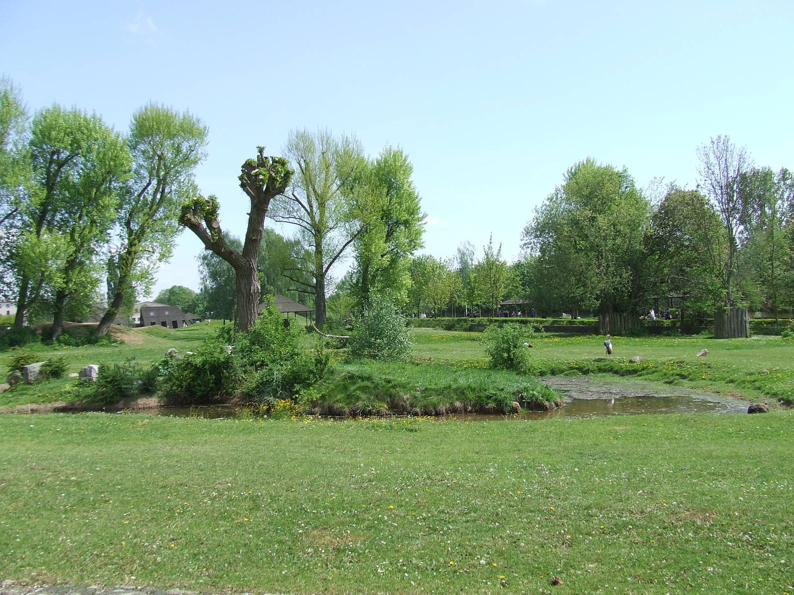 Another big african enclosure