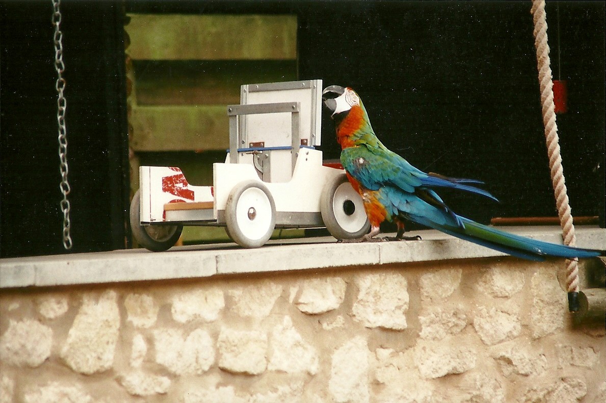 Another breakdown for Jaffa 24th June 2000